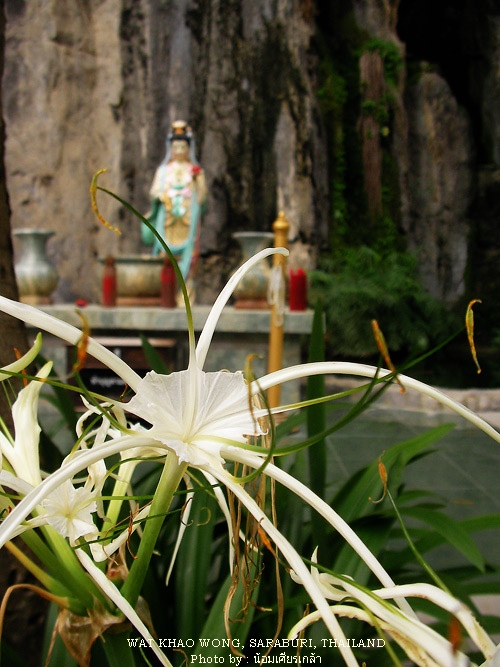 SANY0081.jpg