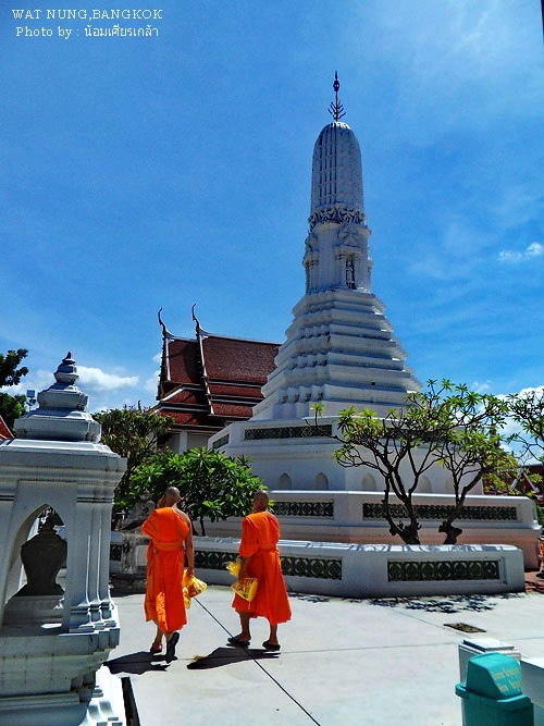 SDC11317.jpg