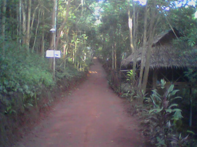 IMG0193A.jpg