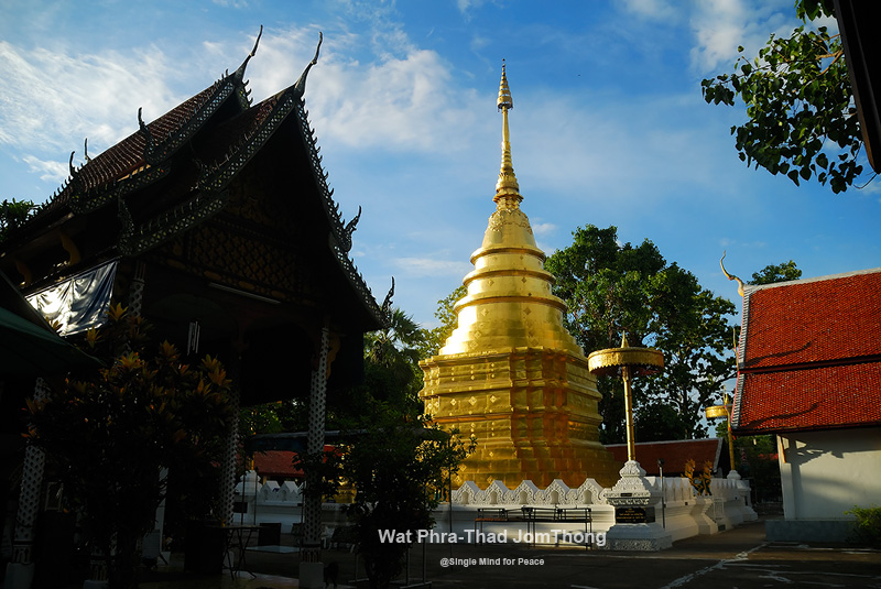 DSC_4469_forum.jpg