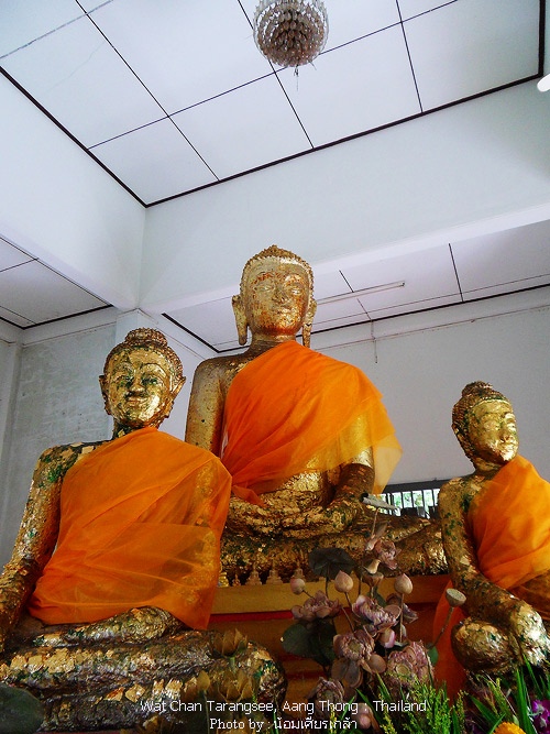 SDC13857.jpg