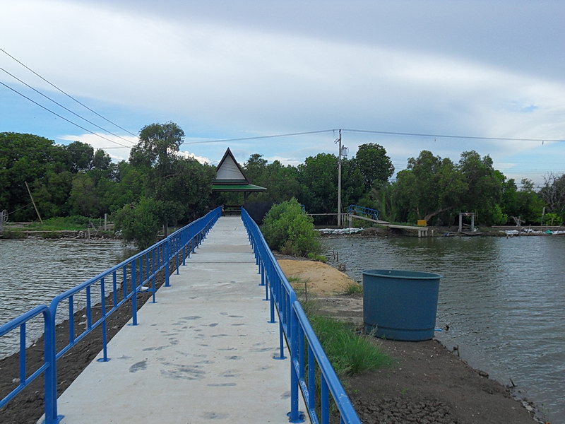 SDC14100.JPG