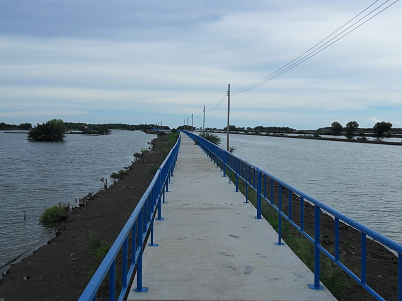 SDC14099.JPG