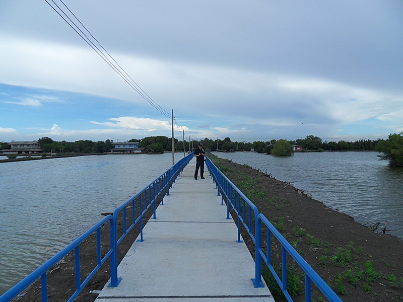 SDC14103.JPG