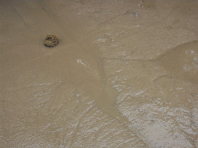 SDC14125.JPG