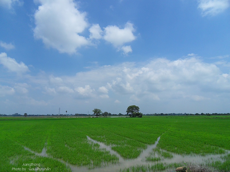 SDC14464.jpg