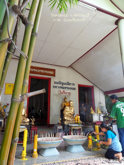 SDC14423.jpg