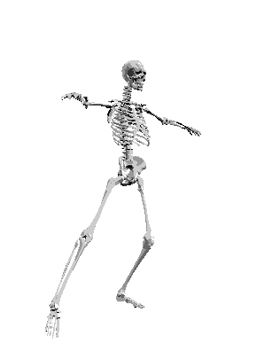 Y9751771-12.gif