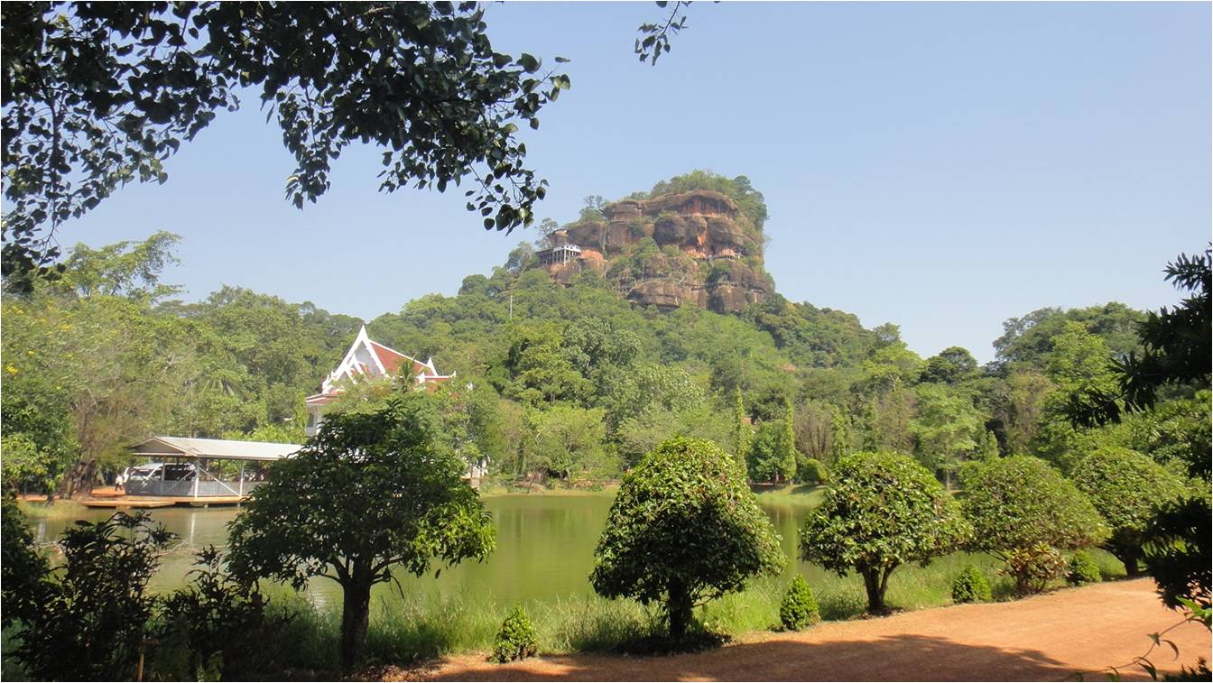 Picture1.jpg