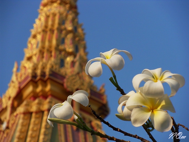 วัดถนน3.jpg