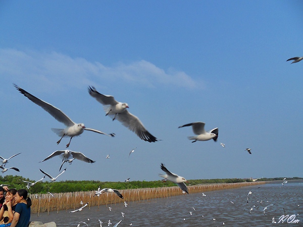 บางปู4.jpg