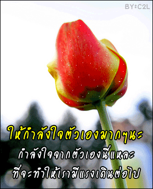 กำลังใจสำหรับเธอคนดี nitta.gif