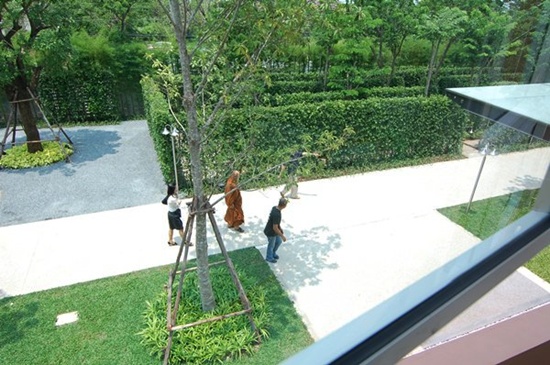nikon009.jpg