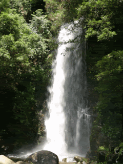 733827em7p5o44tt[1].gif