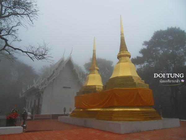 Doi-Tung16.jpg