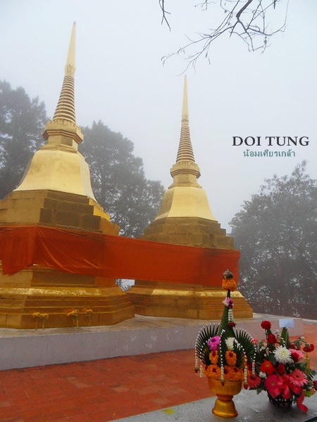 Doi-Tung03.jpg