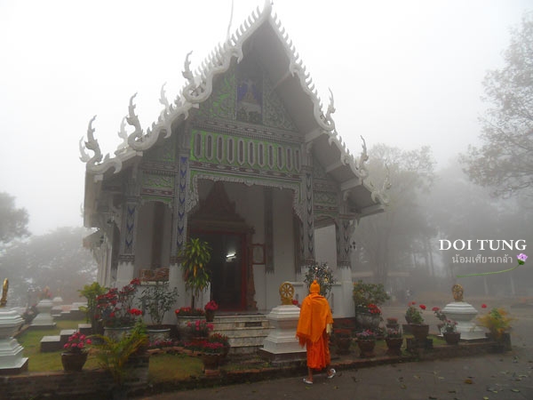 Doi-Tung13.jpg