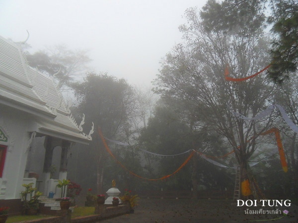 Doi-Tung12.jpg