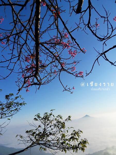 @เชียงราย.jpg