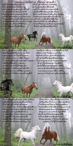 Untitled-1 copy.jpg