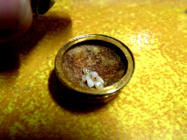 DSCN9995.jpg