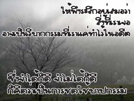 ชดใช้.jpg