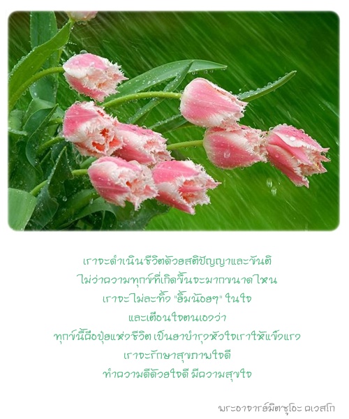 ข้อคิดพินิจธรรม 31.jpg