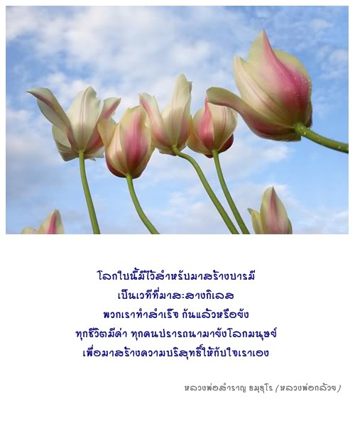 ข้อคิดพินิจธรรม 50.jpg