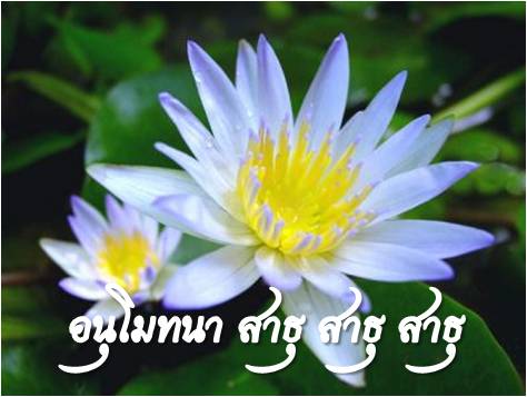 ดอกบัวขาวอนุโมทนา 12.jpg