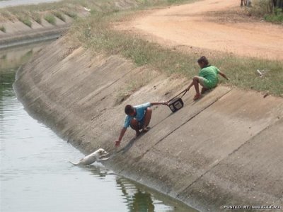 kids-helping-dog-from-water-1.jpg