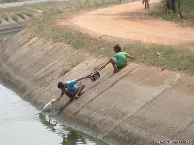 kids-pulling-dog-from-water-2.jpg