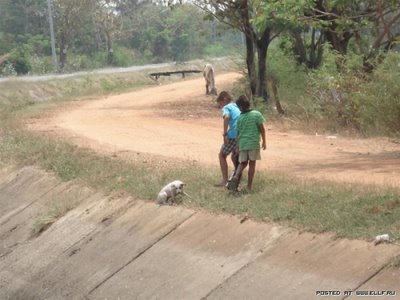 kids-rescued-dog-from-water-4.jpg