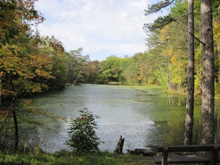 river view beau.jpg