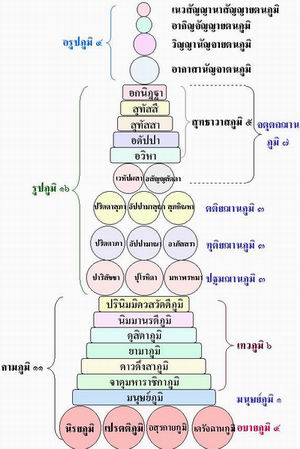 11155-1.jpg