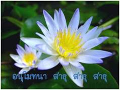 Lotus ธรรมจักร 10.jpg