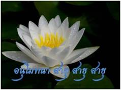 Lotus ธรรมจักร 4.jpg