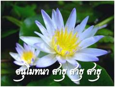 Lotus ธรรมจักร 11.jpg