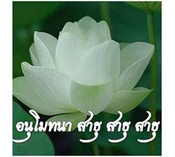 Lotus ธรรมจักร 2.jpg