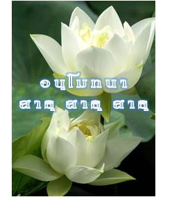 ดอกบัวธรรมจักร 2.jpg