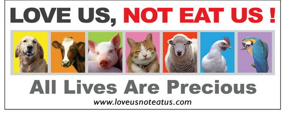 LoveAnimalx.jpg