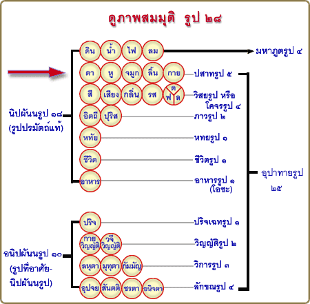 Rup28P06.gif