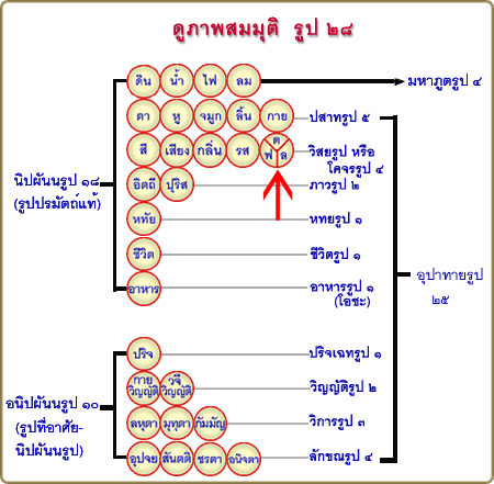 ลุงหมานออกแบบ.gif