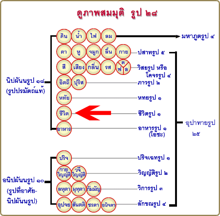 ลุงหมานออกแบบ.gif