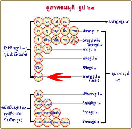 Rup28.gif