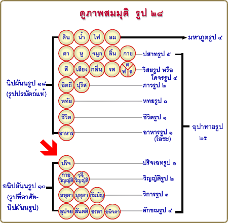 Rup28.gif