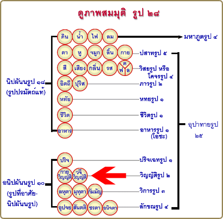 Rup28.gif