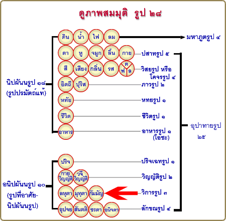 Rup28.gif