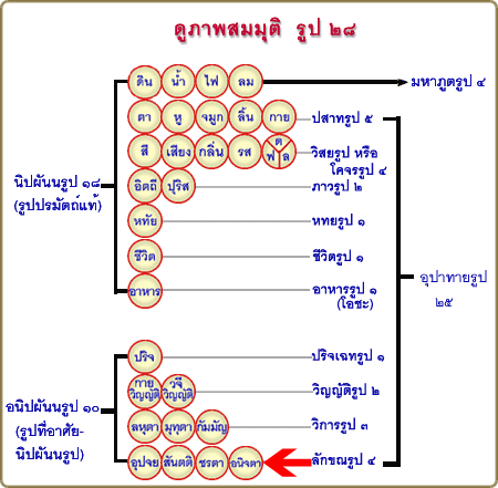 Rup28.gif