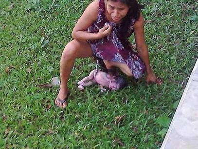 image.jpg