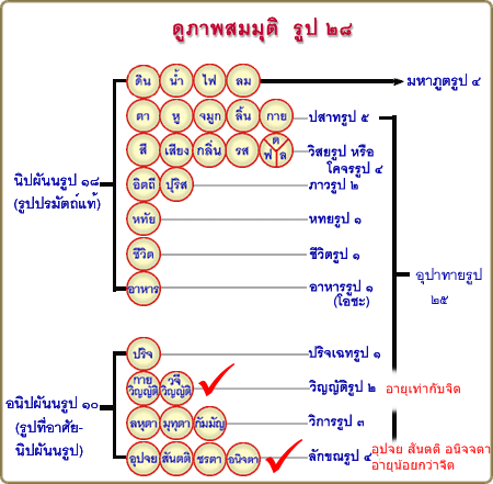 Rup28.gif